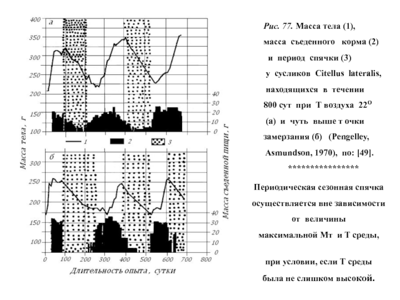 Совместимость биоритмов по дате рождения