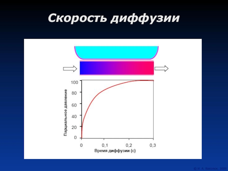 Скорость ди. Скорость диффузии. Диффузия скорость диффузии. Скорость диффузии формула. Скорость массопереноса.