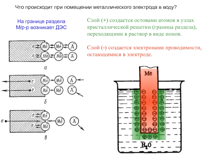 Представлена схема гальванического элемента pt h2 hcl agcl напишите уравнения электродных реакций