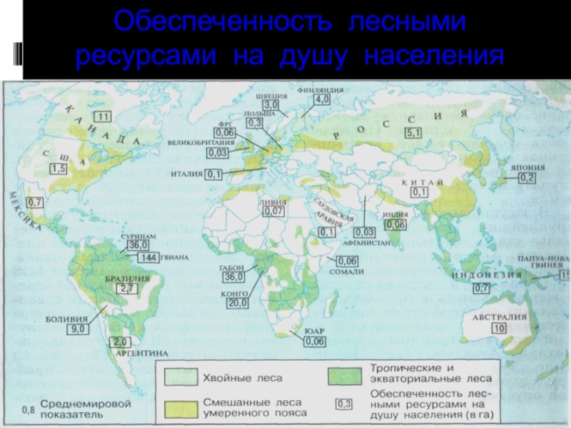 Обеспеченность лесными ресурсами