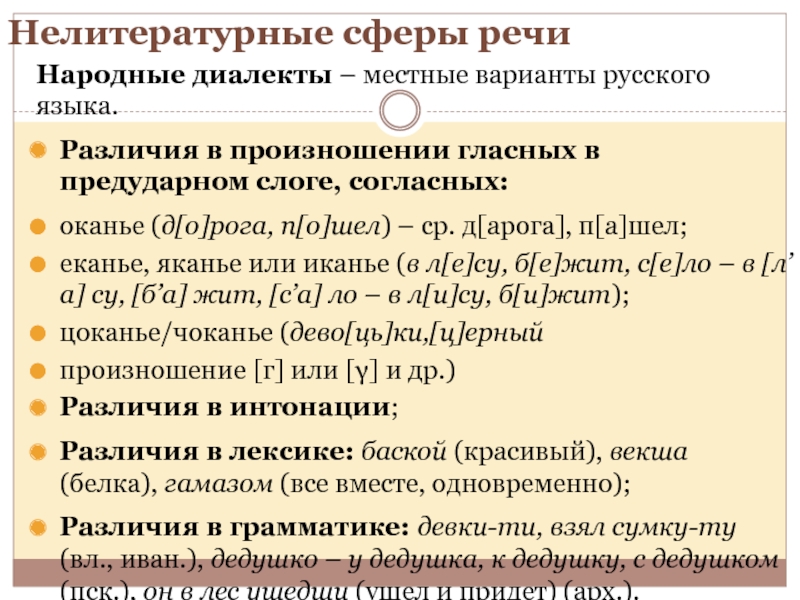 Произношение в русском литературном языке. Нелитературные формы русского языка. Виды нелитературного языка.