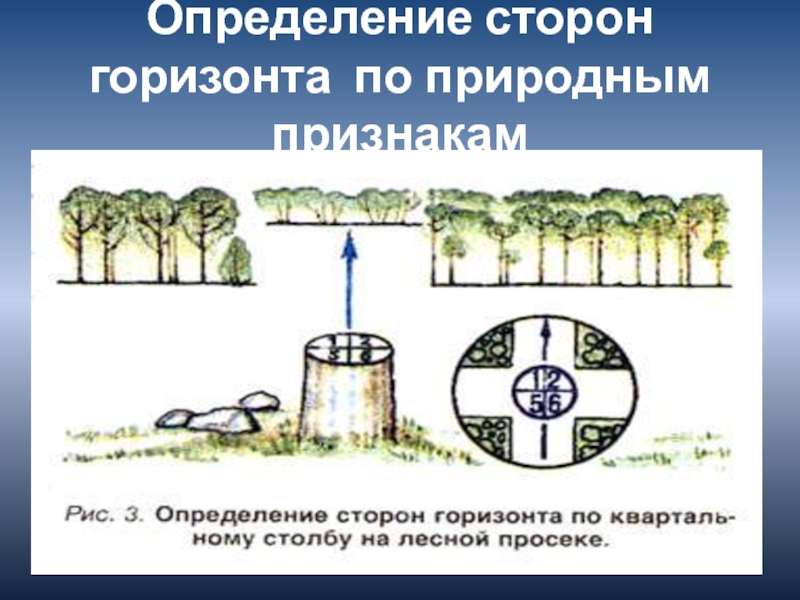 Определение сторон горизонта