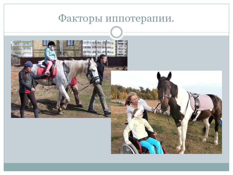 Министерство Здравоохранения Российской Федерации Федеральное государственное Факторы иппотерапии. Факторы иппотерапии.
