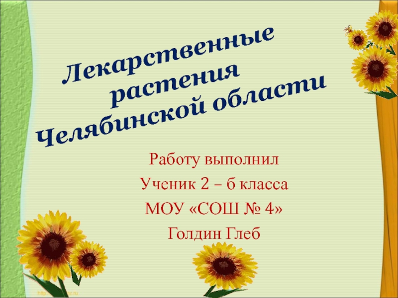 Презентация Лекарственные растения Челябинской области 2 класс