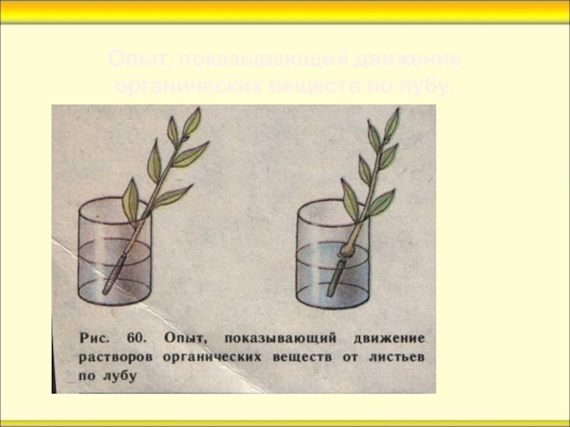 Объясните опыт изображенный на рисунках