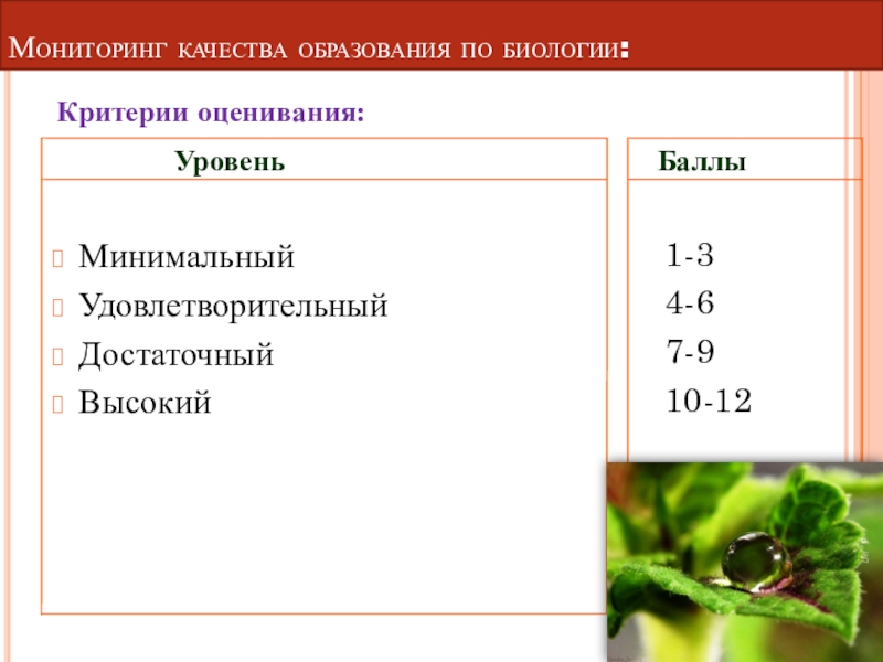 Критерии по биологии 5 класс