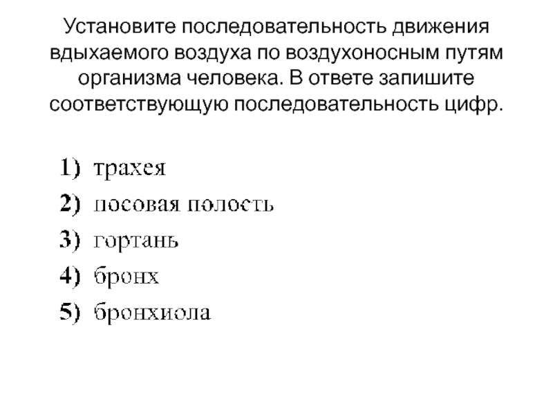 Соответствующую последовательность цифр. Последовательность движения воздуха. Установите последовательность. Порядок движения воздуха в организме человека. Последовательность движения вдыхаемого воздуха.