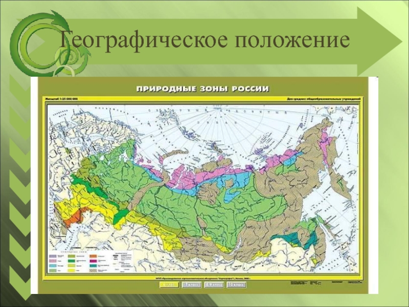 Географическая карта с зонами россии природными