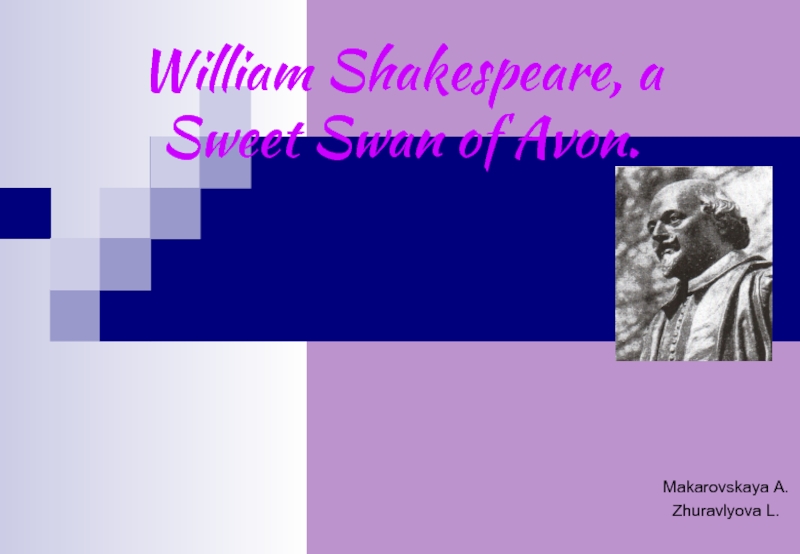 Презентация William Shakespeare, a Sweet Swan of Avon