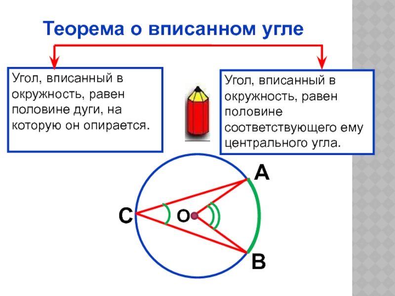 Опирается на диаметр. Вписанный угол окружности. Центральный угол окружности. Центральный и вписанный угол окружности. Вписанный угол равен.