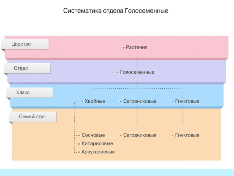 Презентация Презентация к уроку