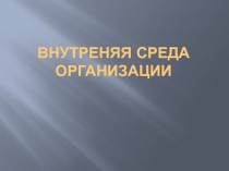 ВНУТРЕНЯЯ СРЕДА ОРГАНИЗАЦИИ