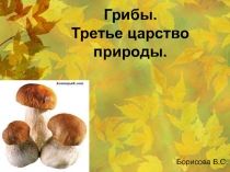 Грибы. Третье царство природы