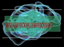 МЕХАНИЧЕСКИЕ ПОВРЕЖДЕНИЯ