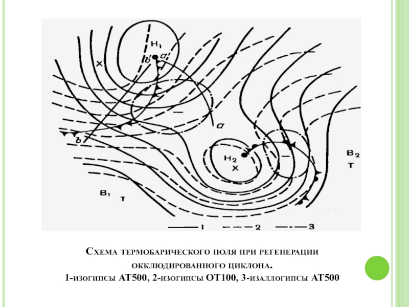 Изогипсы. Термобарическое поле циклона. Изогипсы в метеорологии. Регенерация циклона.