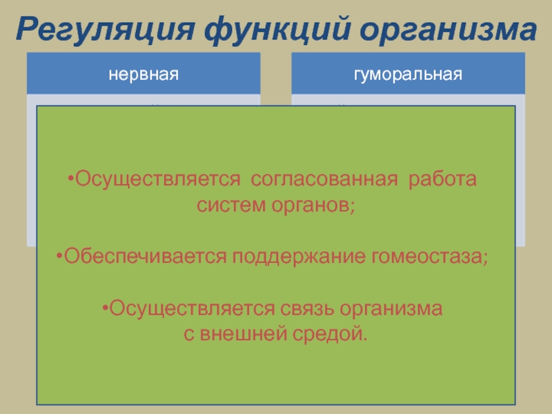 Автономный отдел нервной системы нейрогуморальная регуляция презентация 8 класс