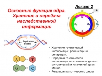 Лекция 2
Хранение генетической информации: репликация и репарация.
Передача