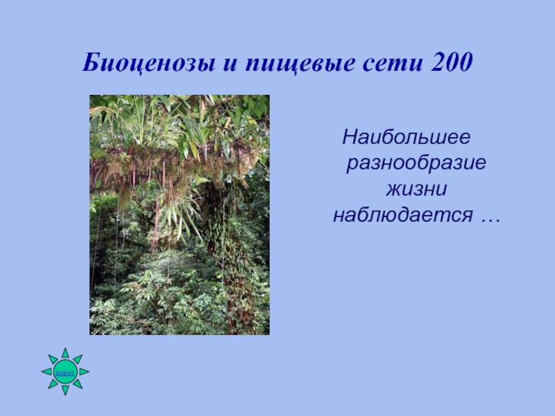 200 сети. Наибольшее разнообразие жизни наблюдается в. Где наибольшее разнообразие жизни. Наибольшее разнообразие условий жизни наблюдается в среде.