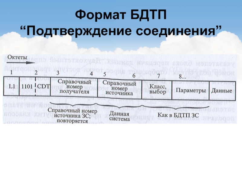 Формат сетей. БДТП.