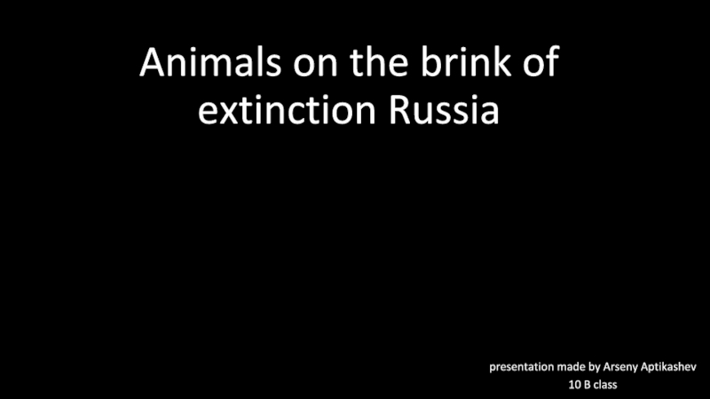 Презентация Animals on the brink of extinction Russia