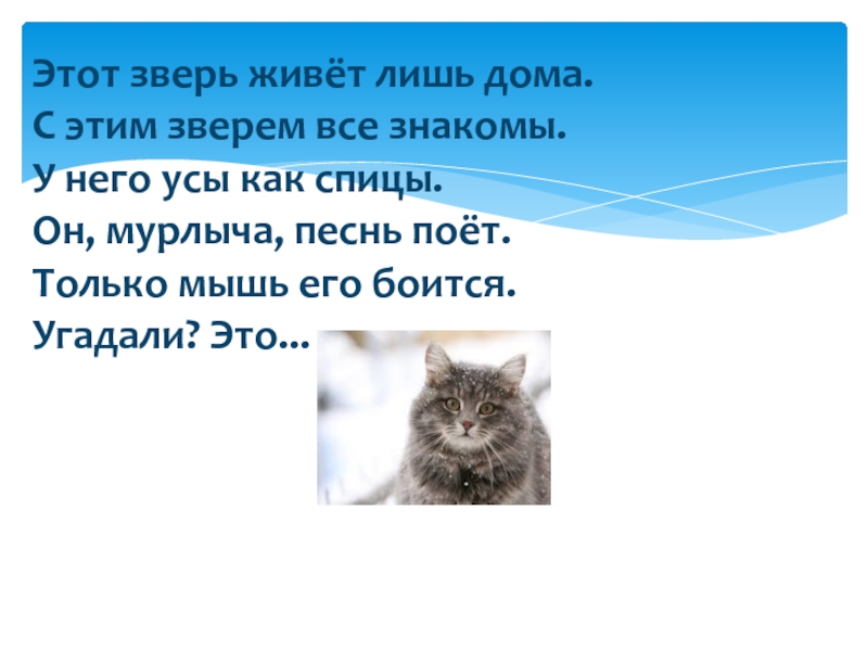 Проект мои домашние животные 1 класс окружающий мир про кошку текст