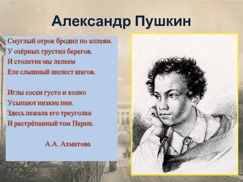 Смуглый отрок бродил по аллеям анализ. Пушкин Смуглый. Пушкин был смуглым. Отрок Пушкин. Кто такой Александр Пушкин.