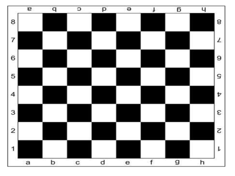 Е пол. Поле Шахматов. Шахматное поле для печати. Шашечная доска для печати. Шахматная доска а4.