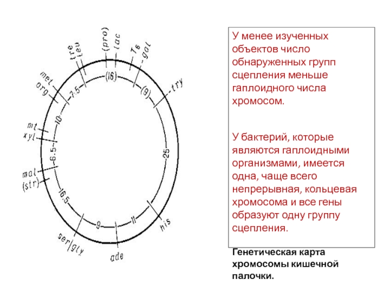 Генетическая карта показывает