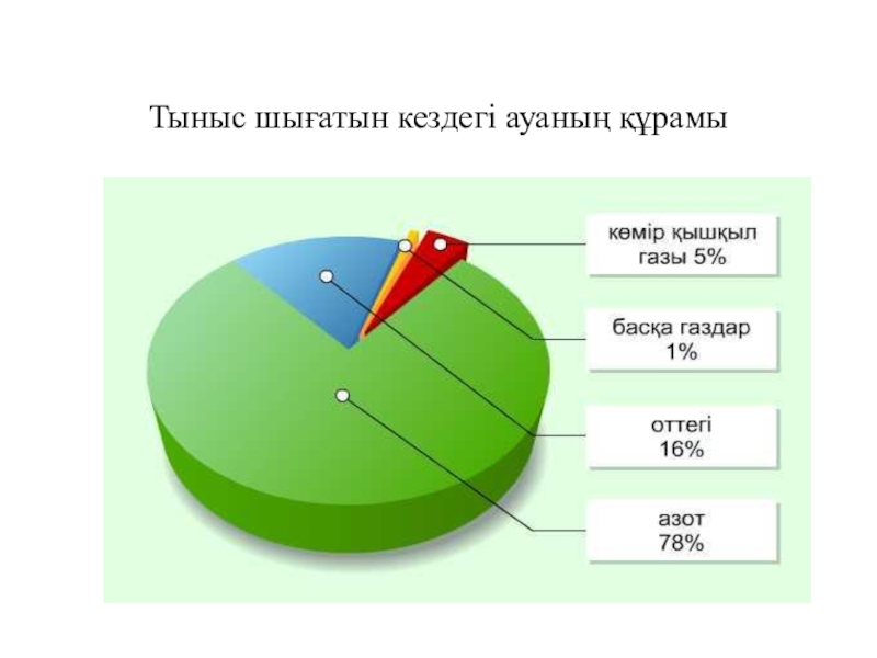 Диаграмма 5 сынып презентация