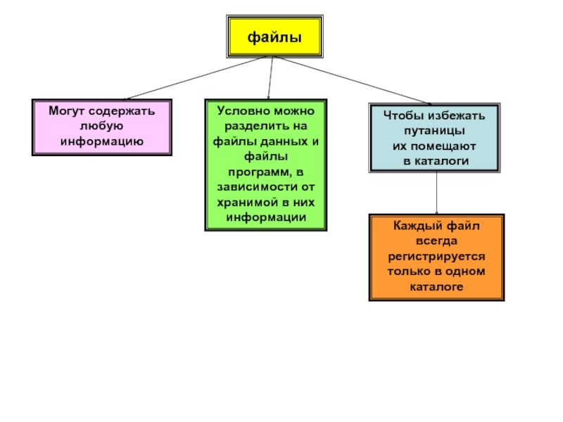 Информацию можно разделить на. Файл может содержать. Содержимым файла может быть. Содержимое файла может быть. Содержания файла может быть.