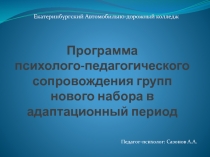 Программа психолого-педагогического сопровождения групп нового набора в