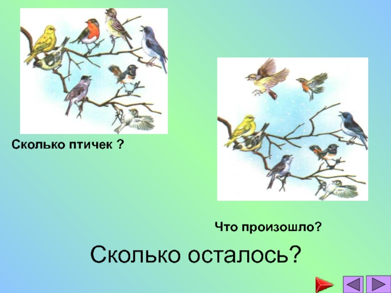 Сколько птиц. Сколько птичек. Сколько птиц осталось. Игра сколько птичек улетело. Птицы картинки для устного счета.