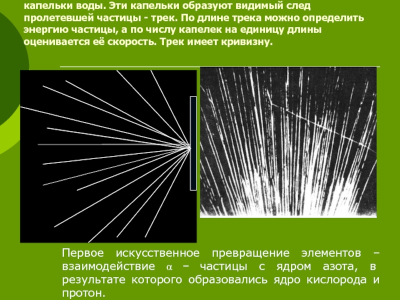 На каких из представленных фотографий изображены треки частиц движущихся в магнитном поле
