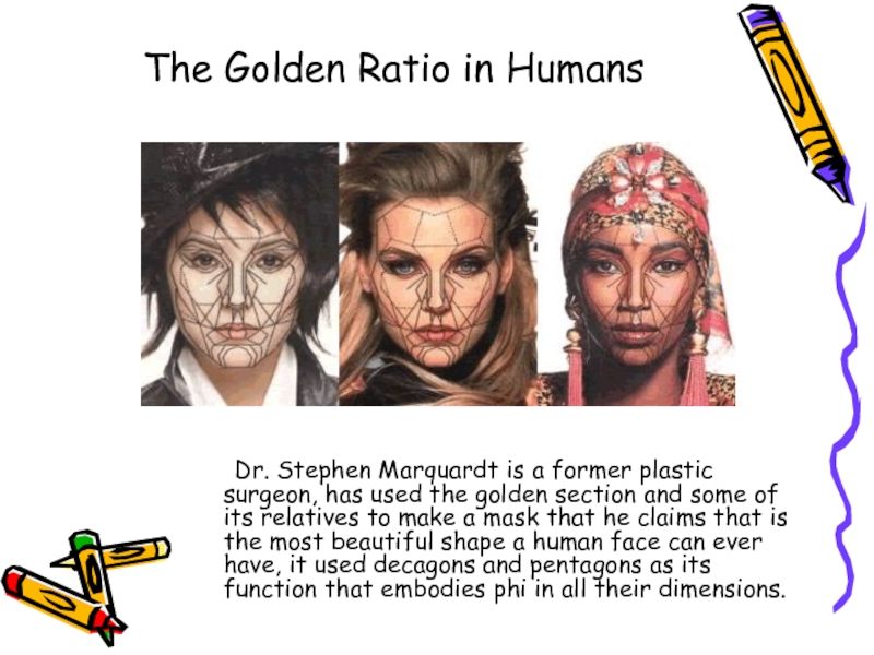 The Golden Ratio in Humans	Dr. Stephen Marquardt is a former plastic surgeon, has used the golden section