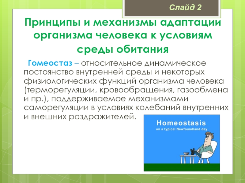 Адаптация человека презентация бжд