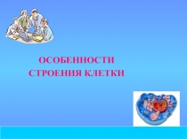 2008 год
ОСОБЕННОСТИ
СТРОЕНИЯ КЛЕТКИ