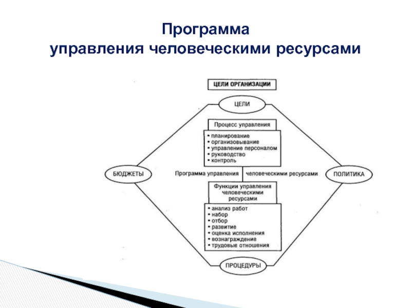 Ресурсов программа. Функции системы управления человеческими ресурсами. Аспекты управления человеческими ресурсами. Цели системы управления человеческими ресурсами. Программа для управления ресурсами.