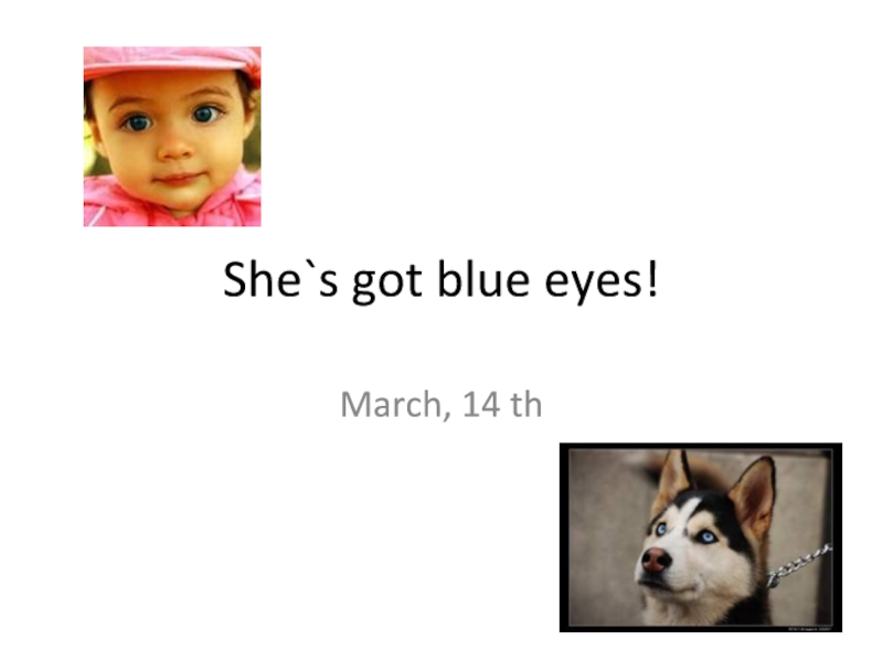 Презентация She`s got blue eyes! 2 класс