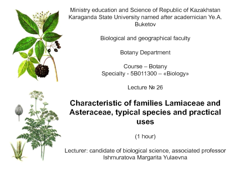 Реферат На Тему Typical Kazakhstan Plants