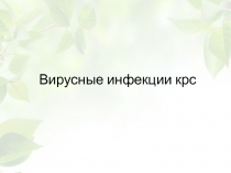 Вирусные инфекции крс