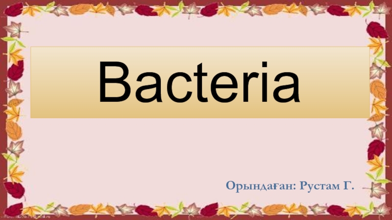 Bacteria
Орындаған : Рустам Г