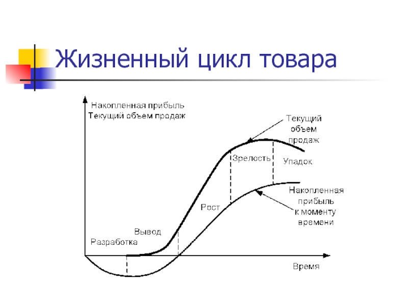 Жизненный цикл продукции