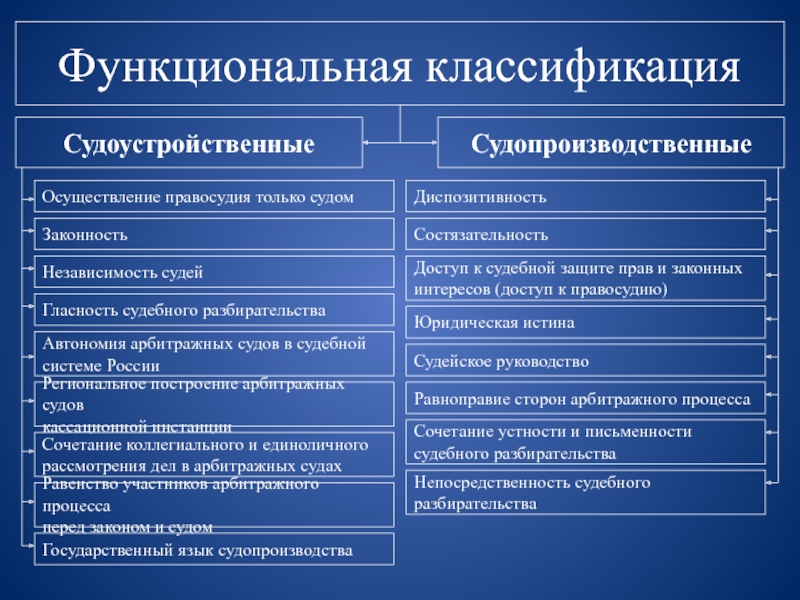 Отраслевым принципом арбитражного процесса является