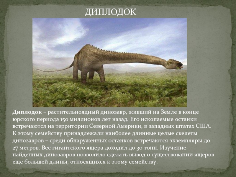 Диплодок – растительноядный динозавр, живший на Земле в конце юрского периода 150 миллионов лет назад. Его ископаемые останки