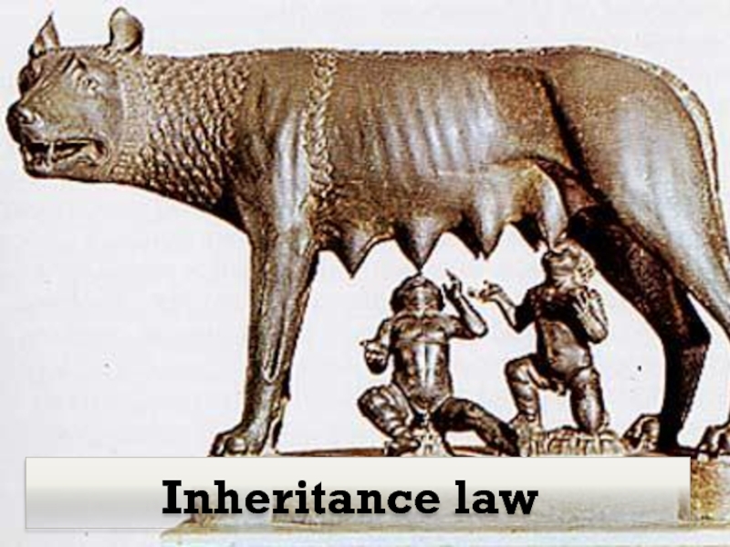 Inheritance law