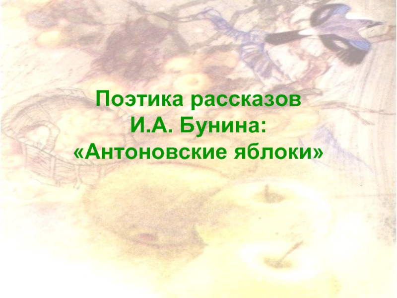 Презентация Поэтика рассказов И.А. Бунина «Антоновские яблоки»