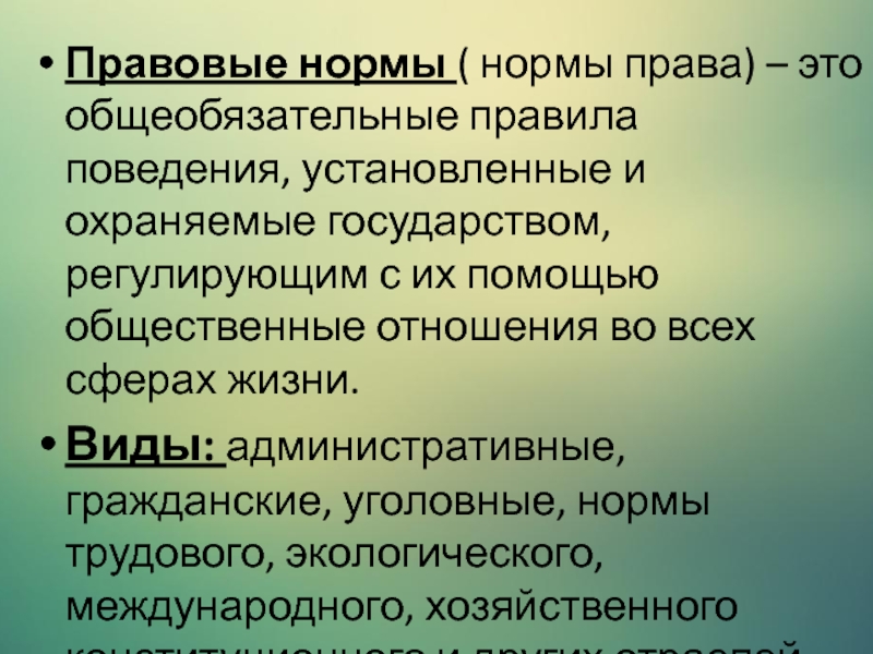 Система общеобязательных норм охраняемая государством. Охраняемые общественные отношения. Это правило установления и охраняемые государством.