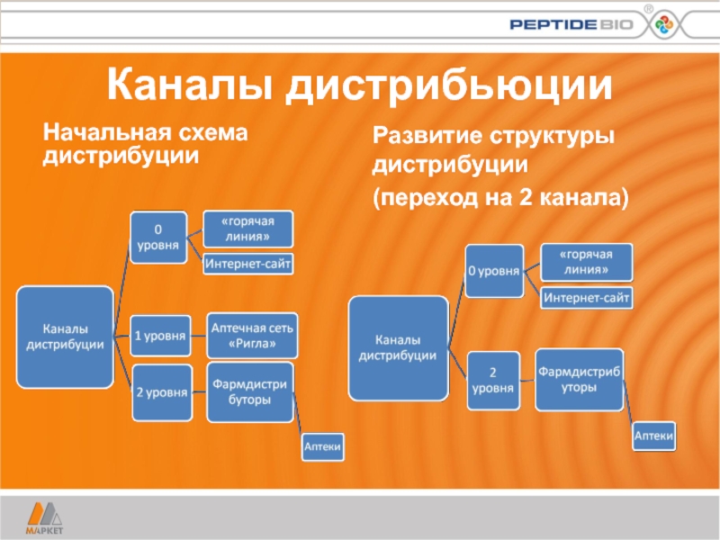 План дистрибуции пример