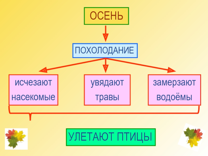 В гости к осени презентация