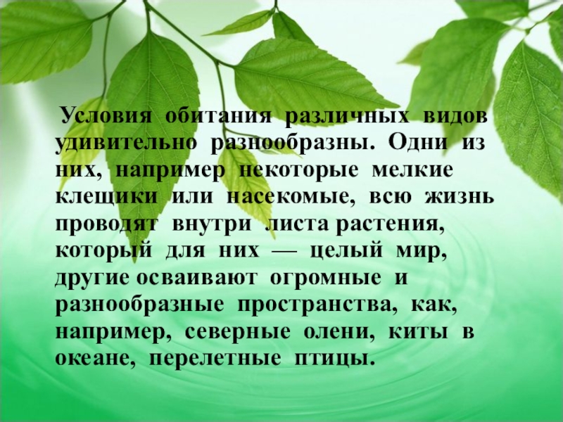 Условия обитания. Условия обитания растений. Условия обитания растений 6 класс. На нашей планете можно выделить несколько сред обитания. Воздушная среда обитания презентация экология презентация.